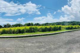 Residential Lot for Sale in St. Ann's Bay