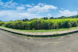 Residential Lot for Sale in St. Ann's Bay