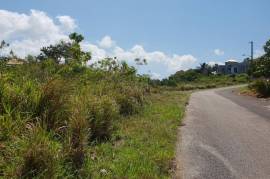 Residential Lot for Sale in Hopewell