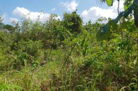 Residential Lot for Sale in Hopewell