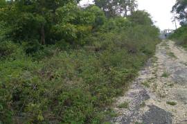 Residential Lot for Sale in Tower Isle