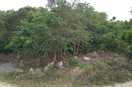 Residential Lot for Sale in Tower Isle