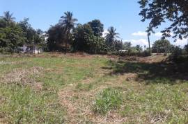 Residential Lot for Sale in Linstead