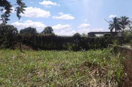 Residential Lot for Sale in Linstead