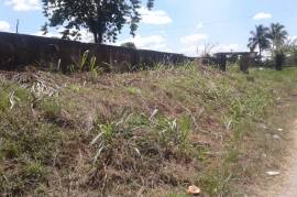 Residential Lot for Sale in Linstead