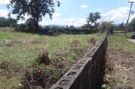 Residential Lot for Sale in Linstead