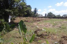 Residential Lot for Sale in Linstead