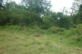 Residential Lot for Sale in Red Hills