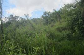 Residential Lot for Sale in Red Hills