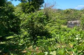 Residential Lot for Sale in Runaway Bay