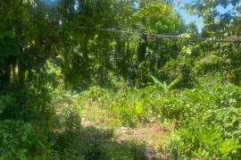 Residential Lot for Sale in Runaway Bay