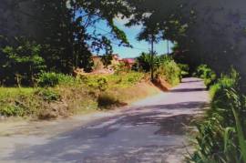 Residential Lot for Sale in Mile Gully