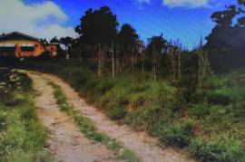 Residential Lot for Sale in Mile Gully