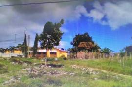 Residential Lot for Sale in Mile Gully