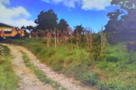 Residential Lot for Sale in Mile Gully