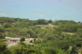 Residential Lot for Sale in White House WD