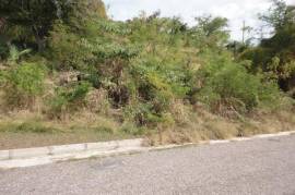 Residential Lot for Sale in White House WD