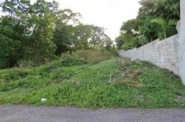 Residential Lot for Sale in Tower Isle