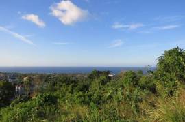 Residential Lot for Sale in Tower Isle