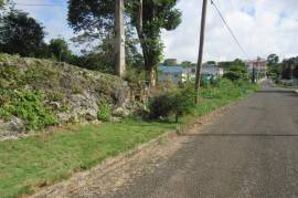 Residential Lot for Sale in Tower Isle