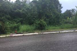 Residential Lot for Sale in Negril