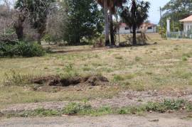 Residential Lot for Sale in White House WD