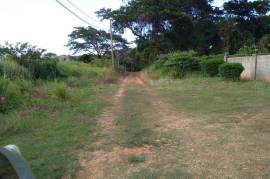 Residential Lot for Sale in Duncans