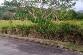 Residential Lot for Sale in St. Ann's Bay