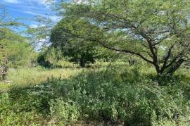 Residential Lot for Sale in Treasure Beach