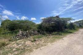 Residential Lot for Sale in Treasure Beach