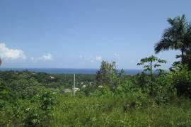 Residential Lot for Sale in St. Ann's Bay