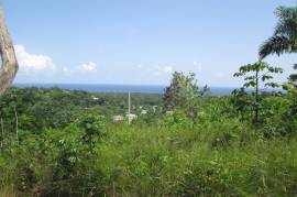 Residential Lot for Sale in St. Ann's Bay