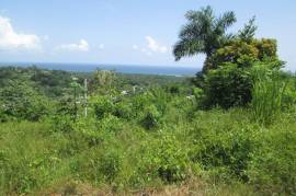 Residential Lot for Sale in St. Ann's Bay