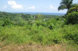 Residential Lot for Sale in St. Ann's Bay