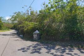 Residential Lot for Sale in Hopewell