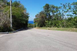 Residential Lot for Sale in Hopewell