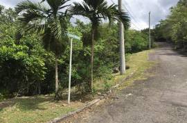 Residential Lot for Sale in Kingston 9