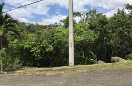 Residential Lot for Sale in Kingston 9