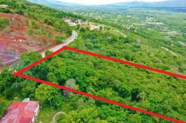 Residential Lot for Sale in Spur Tree