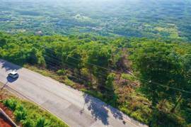 Residential Lot for Sale in Spur Tree