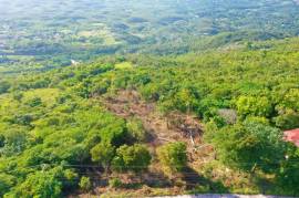 Residential Lot for Sale in Spur Tree