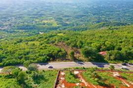 Residential Lot for Sale in Spur Tree