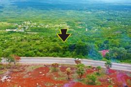 Residential Lot for Sale in Spur Tree