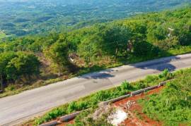 Residential Lot for Sale in Spur Tree