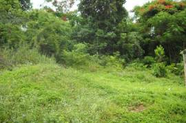 Residential Lot for Sale in Kingston 19