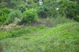 Residential Lot for Sale in Kingston 19