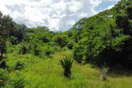 Residential Lot for Sale in Falmouth