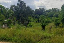 Residential Lot for Sale in Falmouth