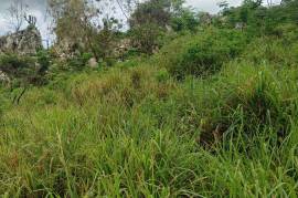 Residential Lot for Sale in Kingston 19