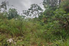 Residential Lot for Sale in Kingston 19